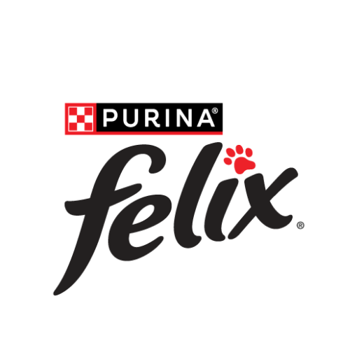 Felix Cat Food delivered straight to your door - Buy online with worldwide  delivery - Britsuperstore