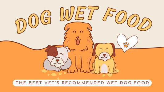 The Best Vet's Recommended Wet Dog Food in the UK