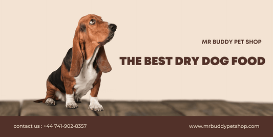 Which Dry Dog Food Is Best?