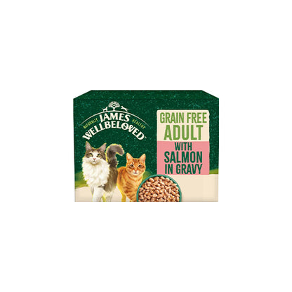 James Wellbeloved Adult Grain Free Salmon in Gravy 12x85g