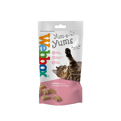 Webbox Yum-e-Yums Salmon Cat Treats - 9 x 40g Pack