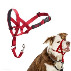 Halti Head Red - Dog Training Collar
