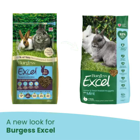 Burgess 1.5kg Excel Junior & Dwarf Nuggets with Mint - Rabbit Food