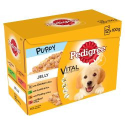 Pedigree 12x100g  Mixed Selection in Jelly  Pouches - Wet Puppy Food